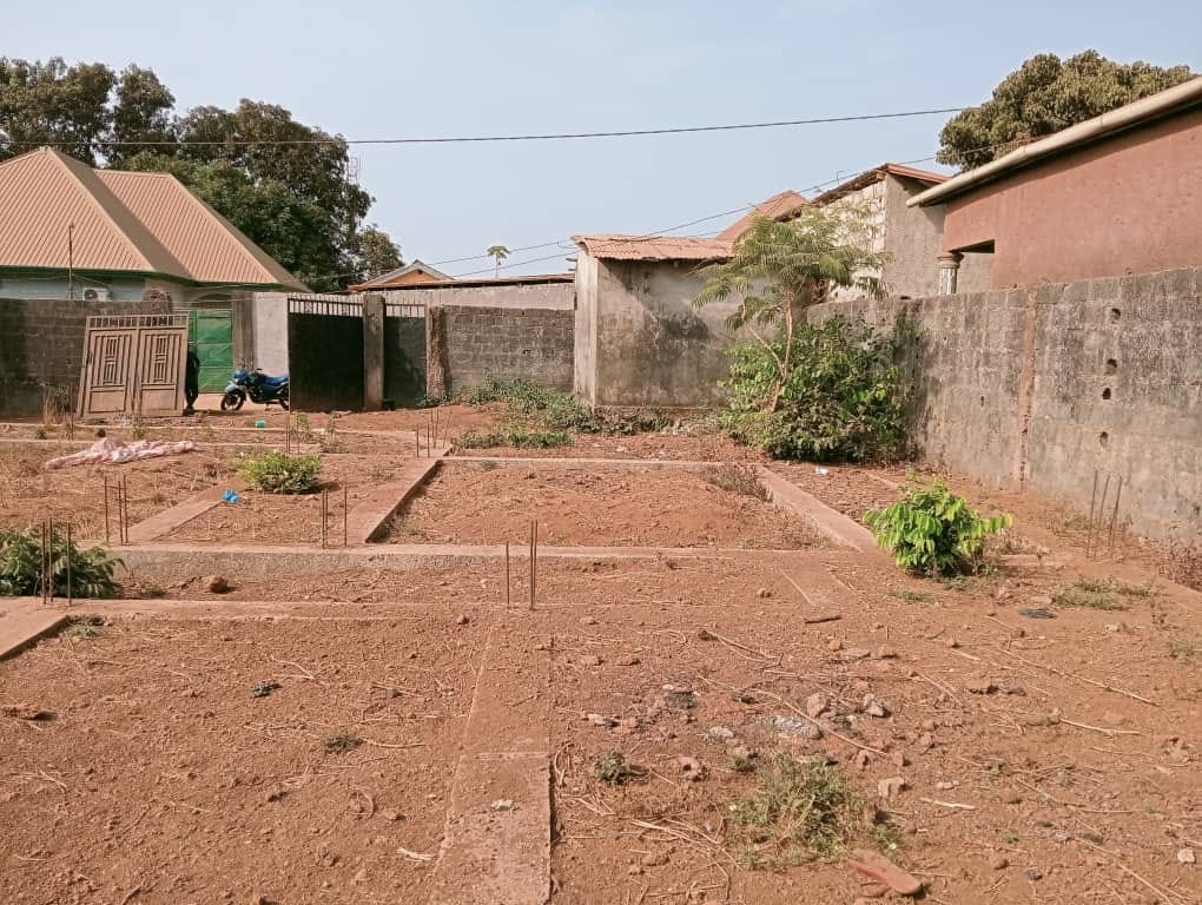 Parcelle Disponible à Kagbelen - image 1