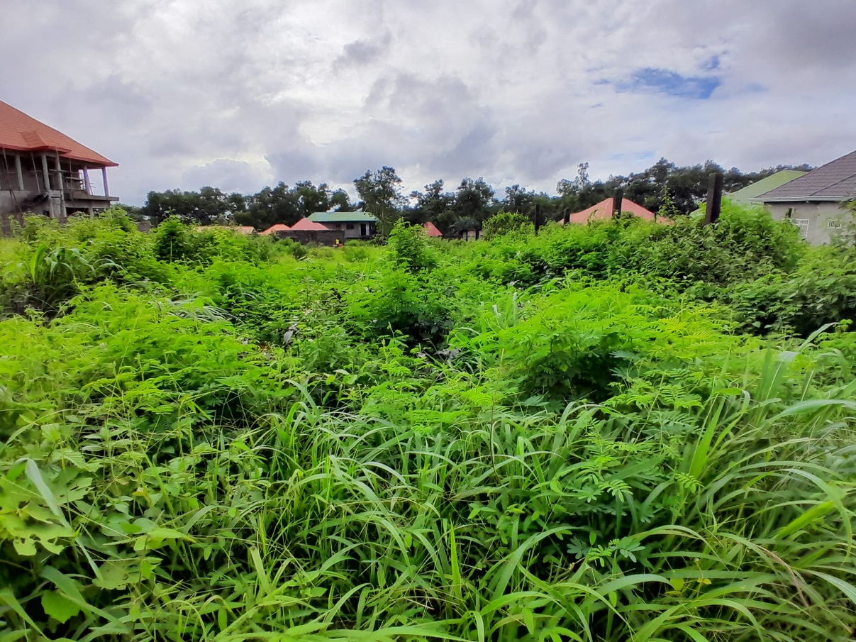  Parcelles à Vendre à Dubreka - image 4