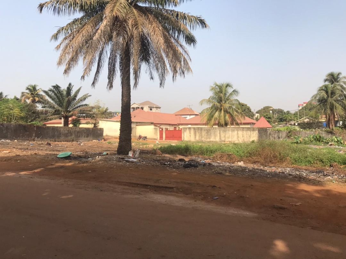 Parcelles bien placées - image 1