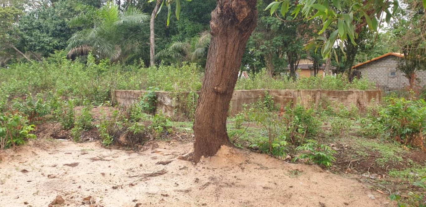 Demie Parcelle disponible - image 5