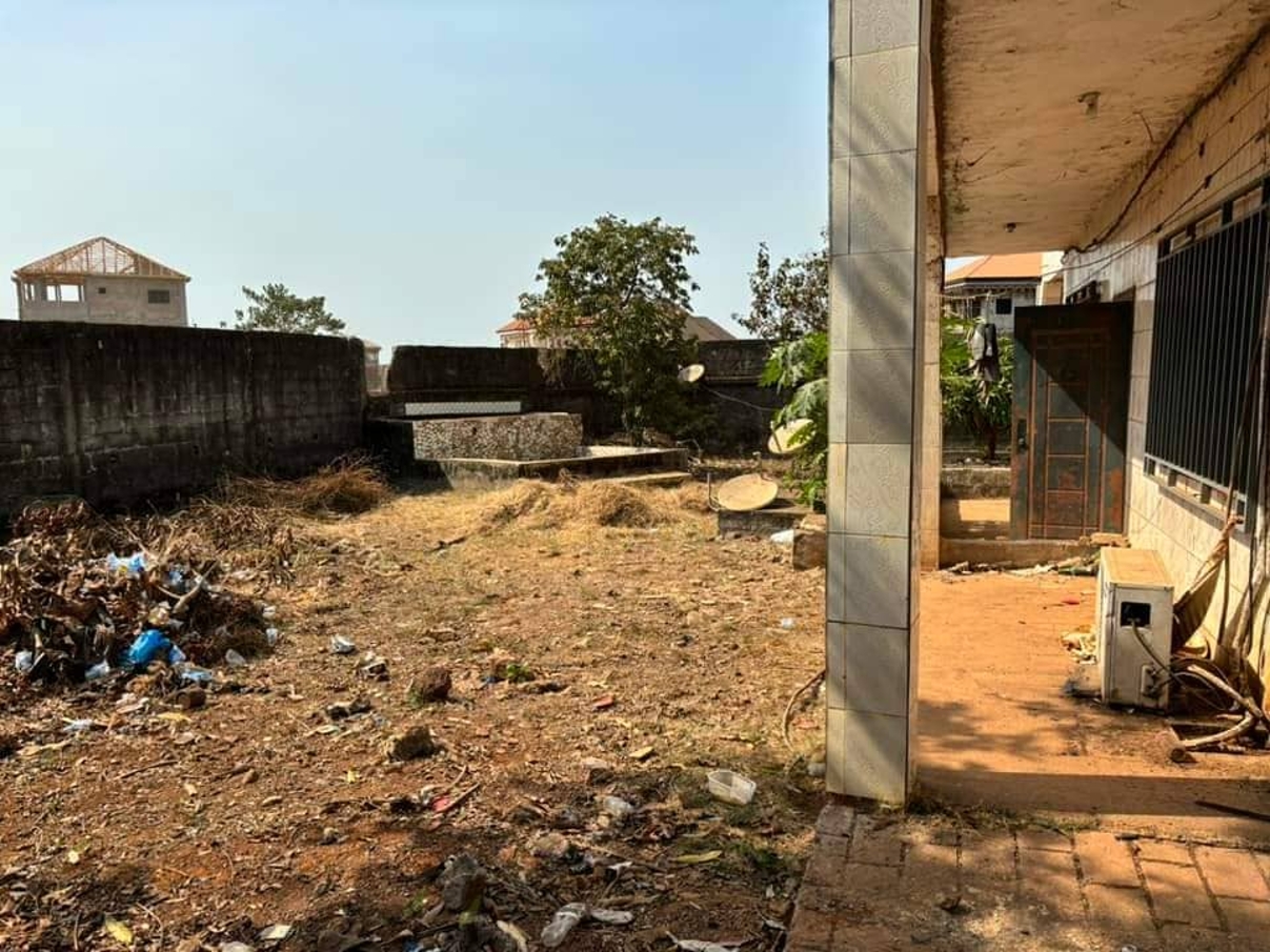 Somptueux duplex - image 6