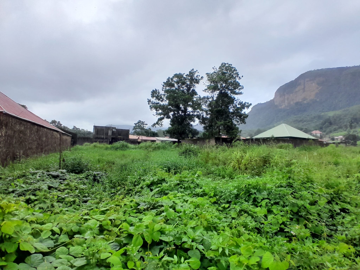 Terrain disponible - image 1