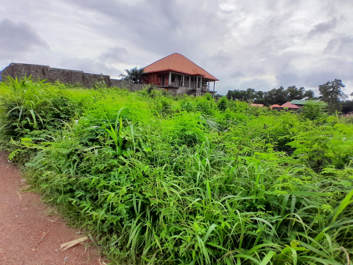  Parcelles à Vendre à Dubreka - image 2