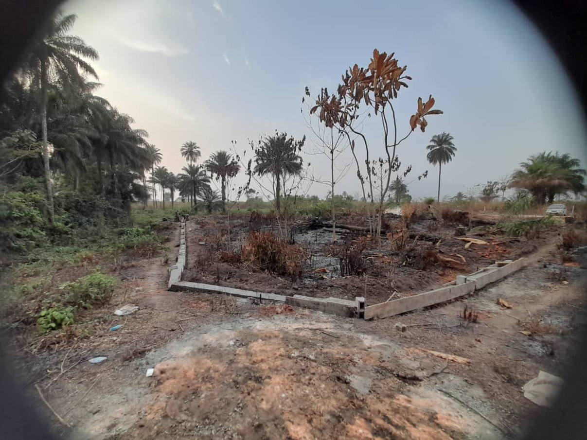 Grand terrain disponible - image 5