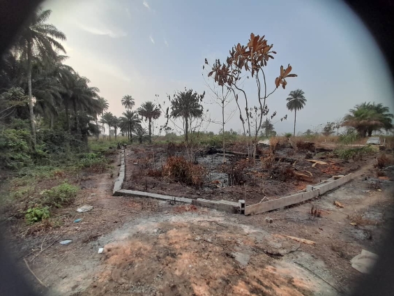 Grand terrain disponible - Image 5