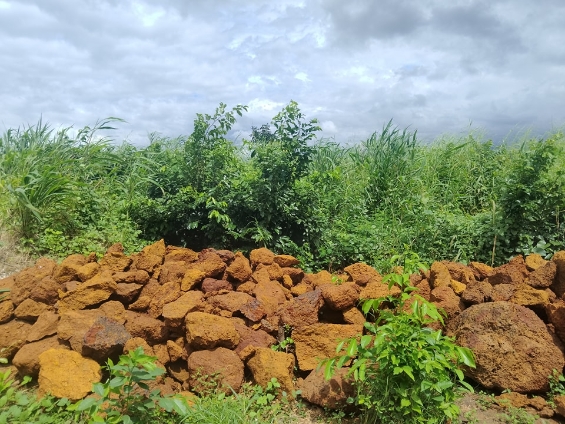 Opportunité Parcelles Gbantama - Image 4