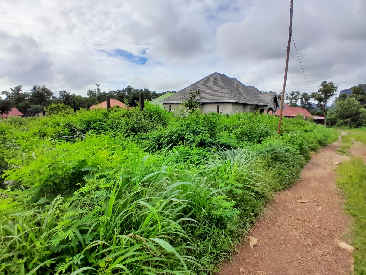  Parcelles à Vendre à Dubreka - image 3
