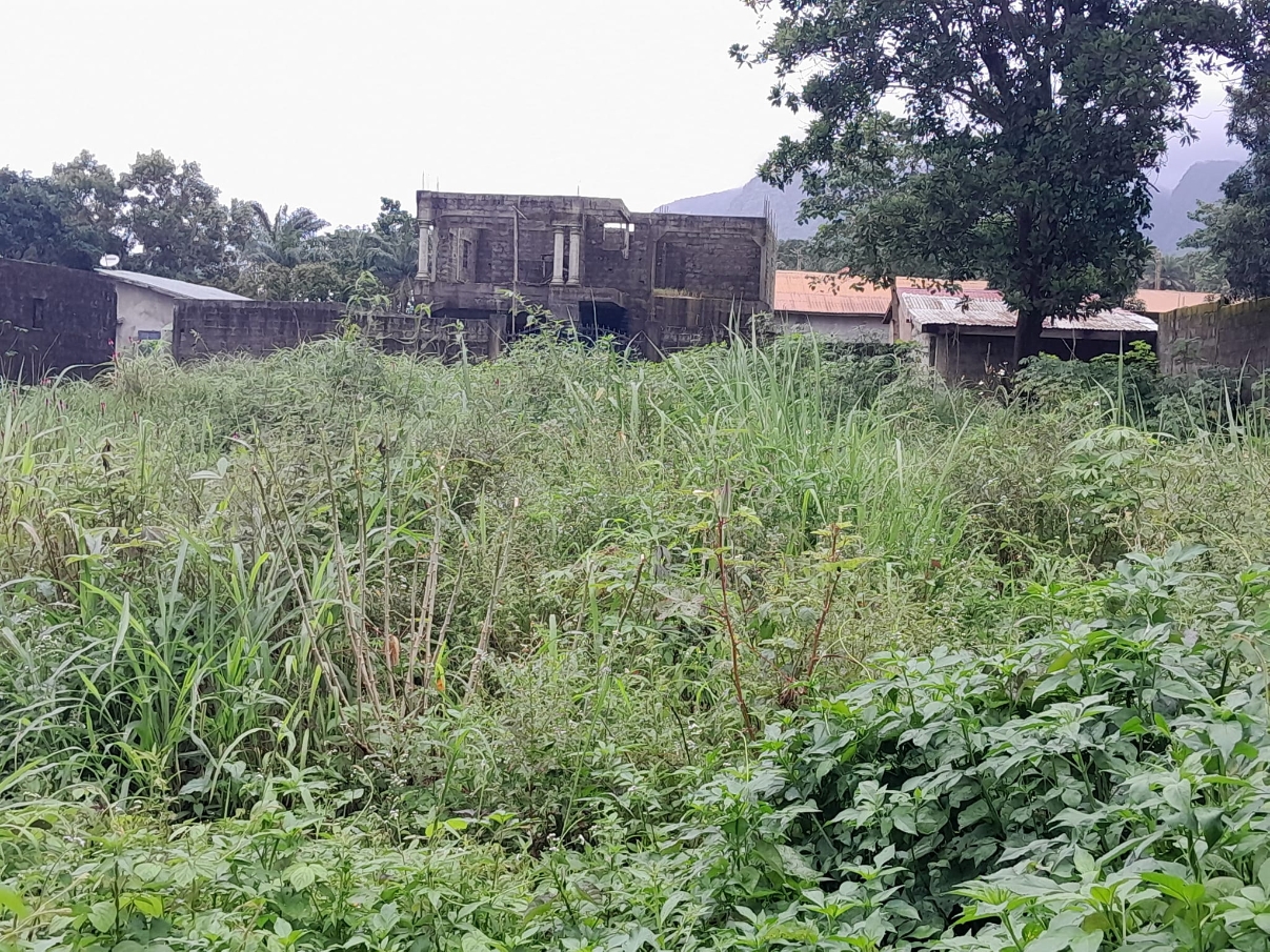 Terrain disponible - image 3