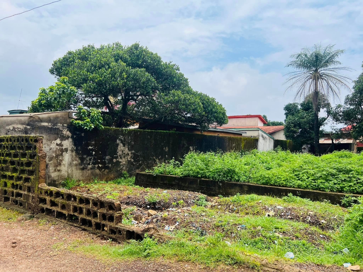 Terrain  pour construction - image 2