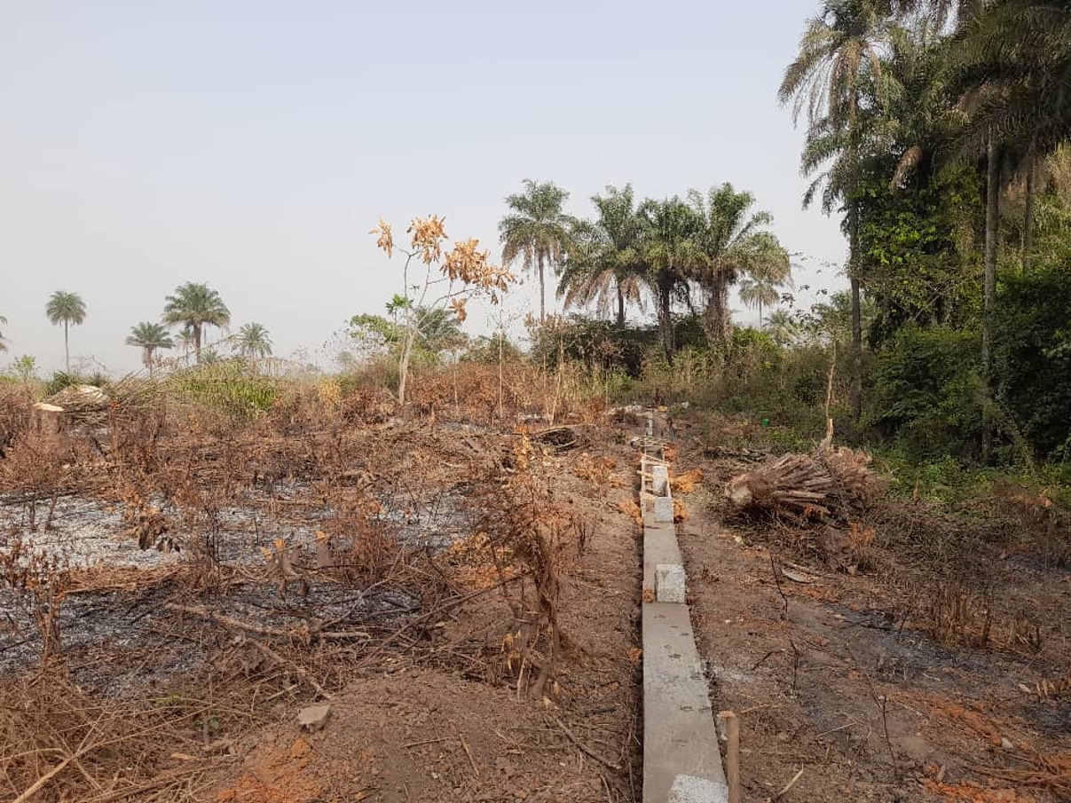 Grand terrain disponible - image 4