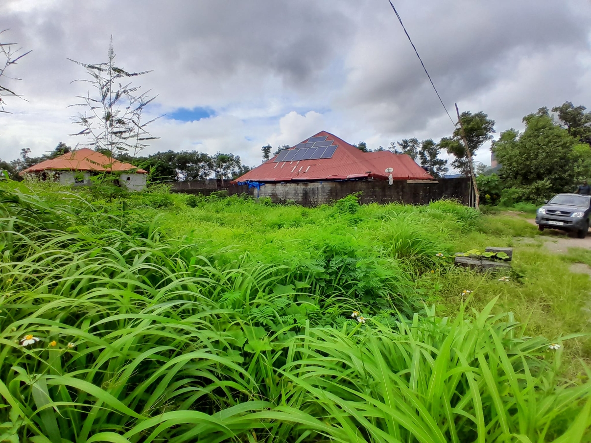  Parcelles à Vendre à Dubreka - image 1