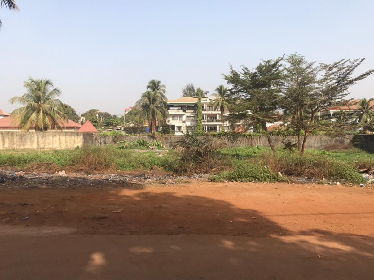 Parcelles bien placées - image 3