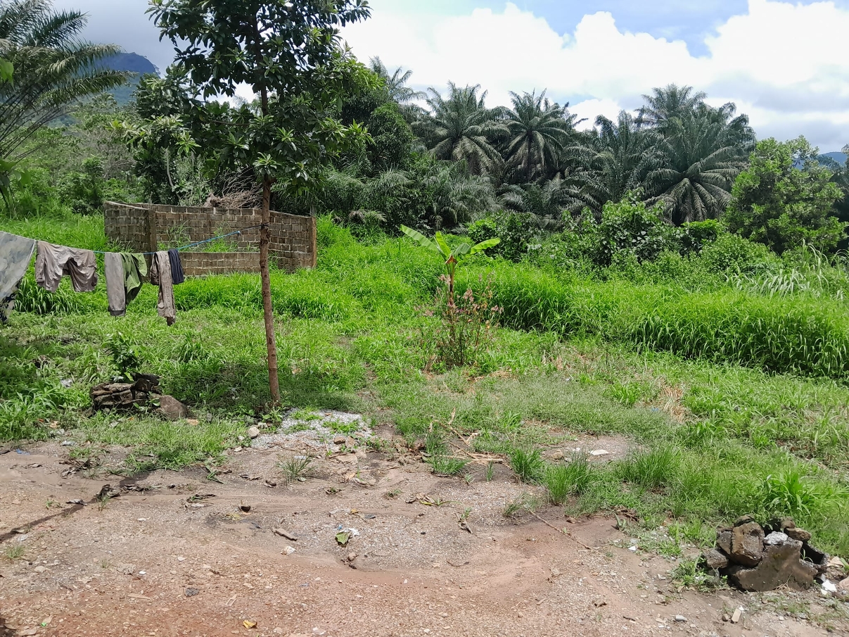 Villa à vendre à Bawa-Gbantama - image 2