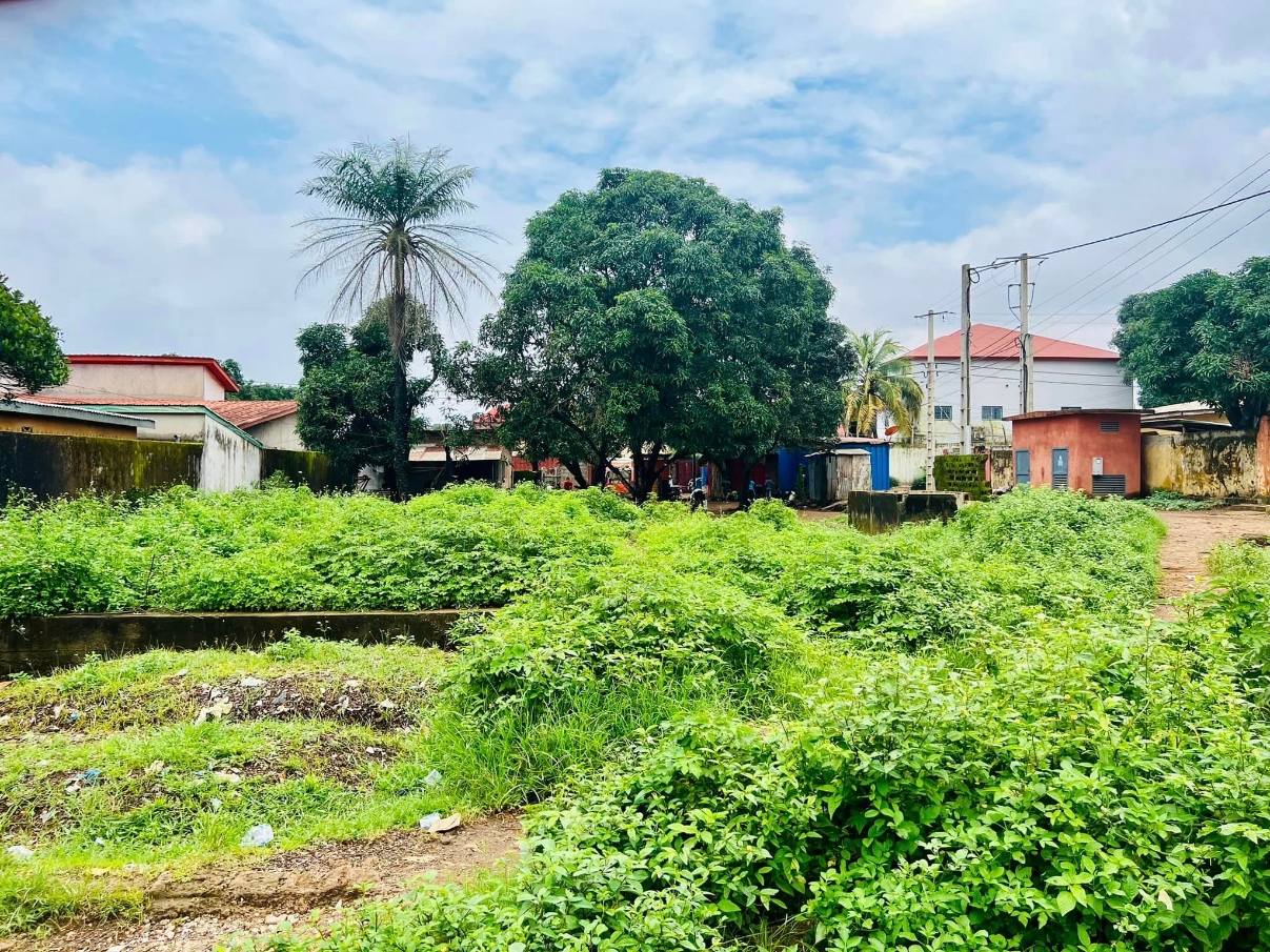 Terrain  pour construction - image 1