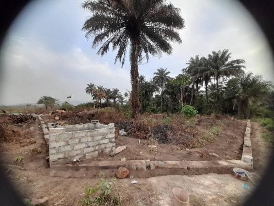 Grand terrain disponible - Image 6