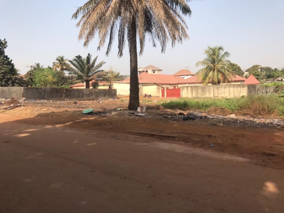 Parcelles bien placées - image 2