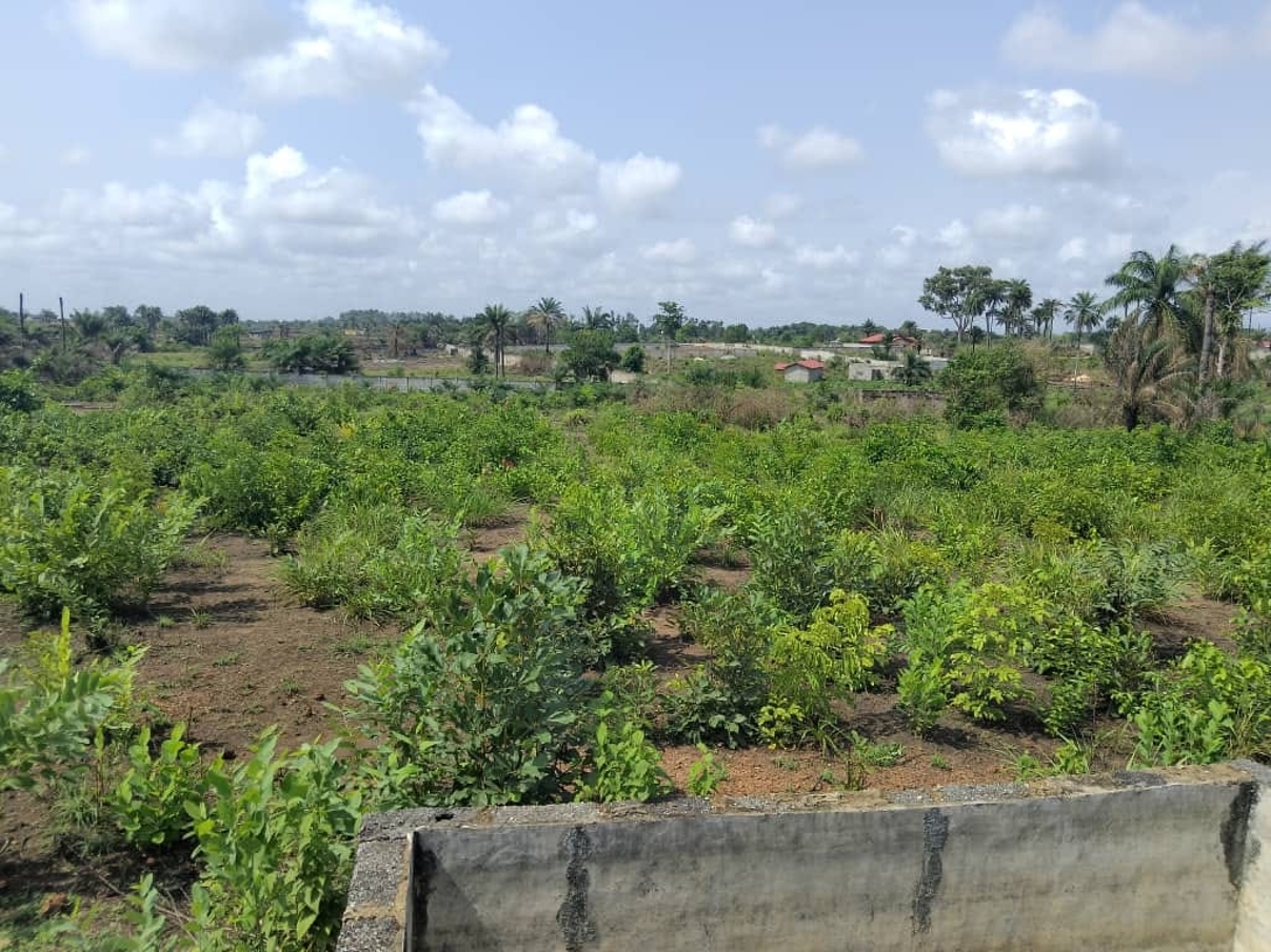 Domaine clôturé à Moribayah - image 5