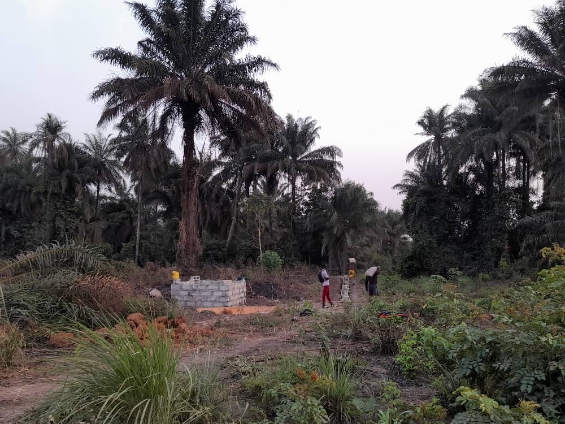 Grand terrain disponible - Image 3